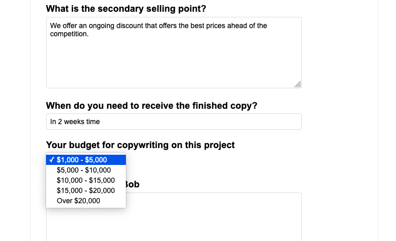 Selecting the Right Budget for Bob Bly Copywriting Services
